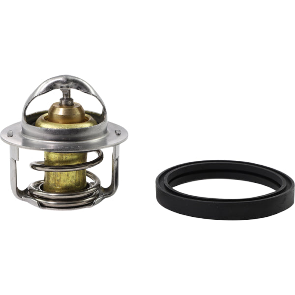 Thermostat pour Polaris - All Balls, 16-3001