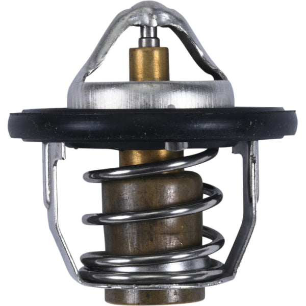 Thermostat pour Polaris - All Balls, 16-3005