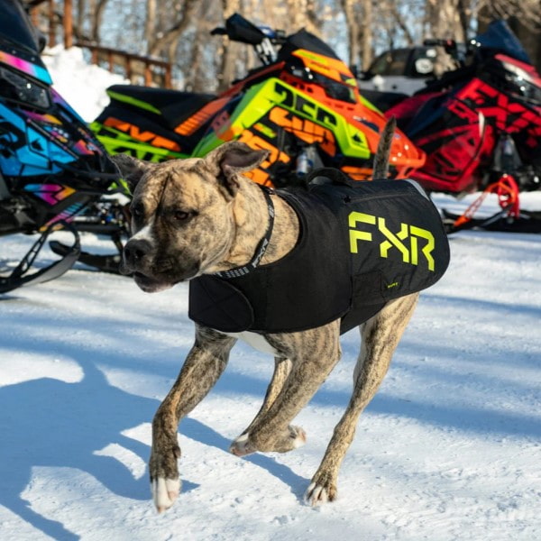 Manteau pour Chien CX FXR, porté côté gauche