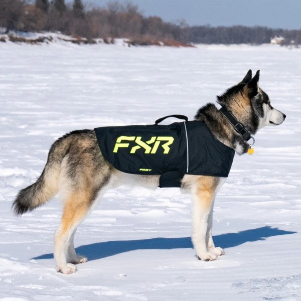 Manteau pour Chien CX FXR, porté côté droit