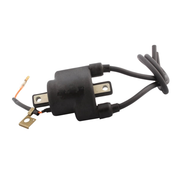 External Ignition Coils for Snowmobiles