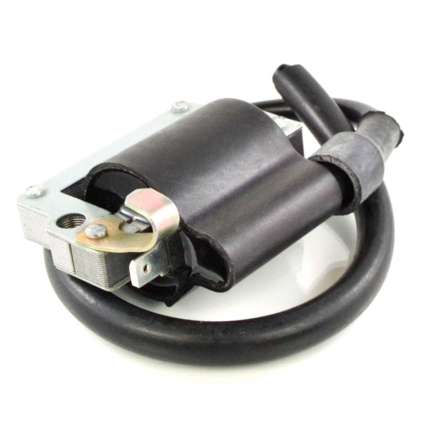 External Ignition Coils for Snowmobiles