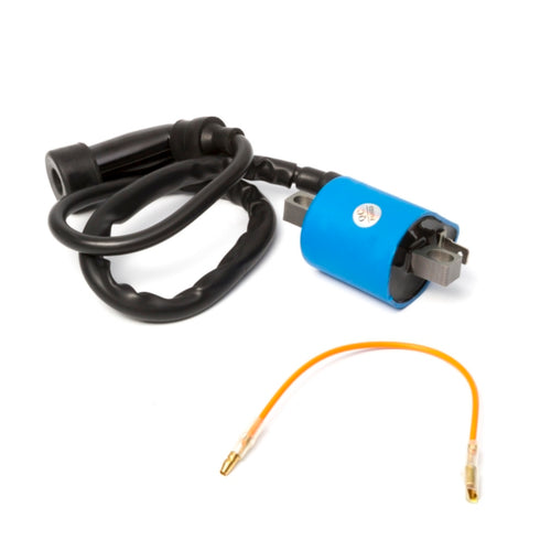 Ignition Coil with Cap