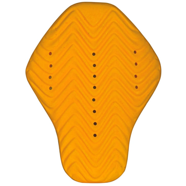 Protecteur Dorsal RB-Pi