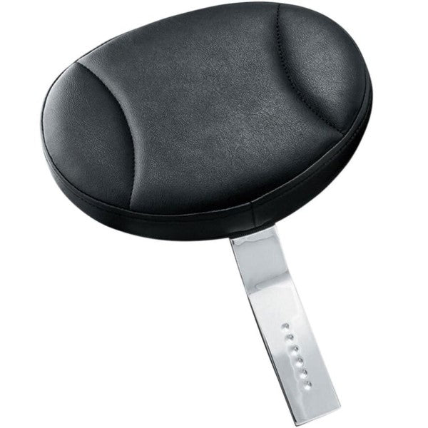 Plug-In Driver Backrest
