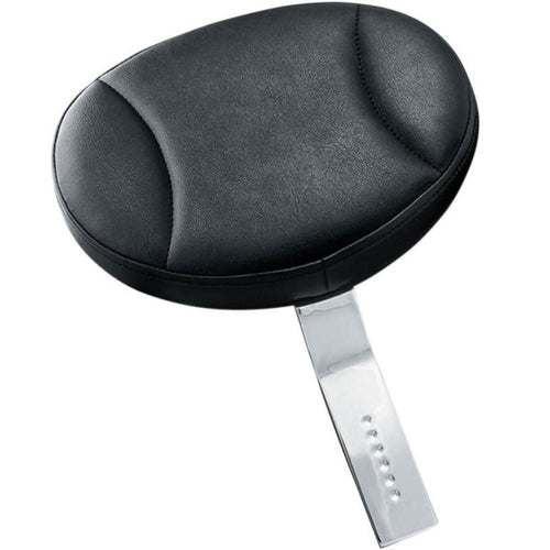 Plug-In Driver Backrest