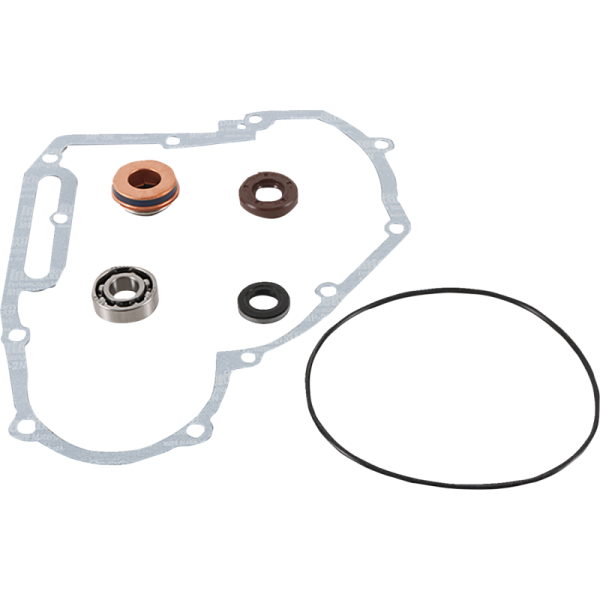 Kit de Reconstruction de Pompe à Eau pour Motoneige Polaris