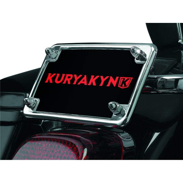 License Plate Frame and Rear Plate