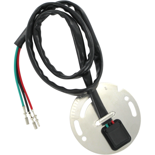 Ignition Sensor Assembly