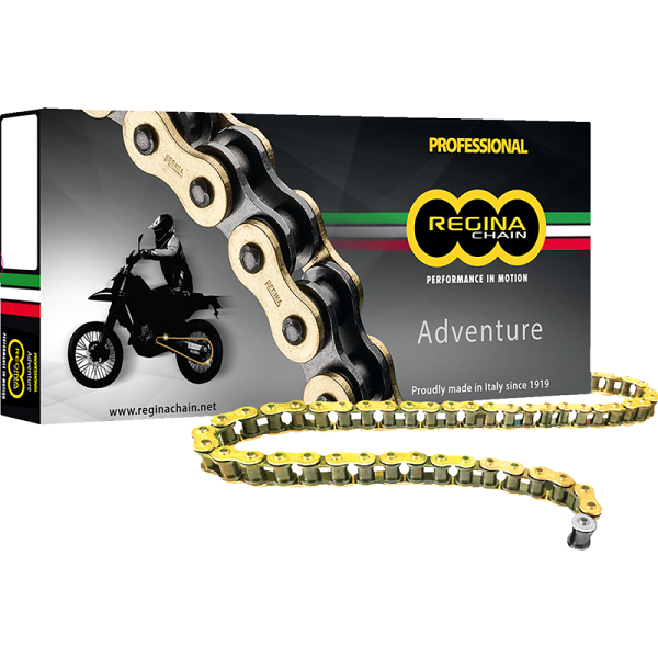 Z 525 ZRE Z-Ring Chain