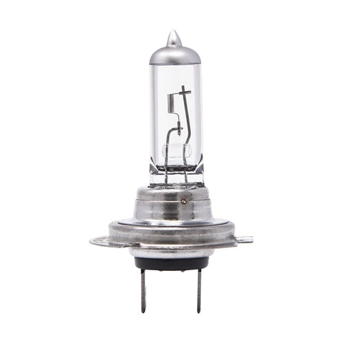 Ampoule halogène -Type H7||Halogen Light Bulb -Type H7